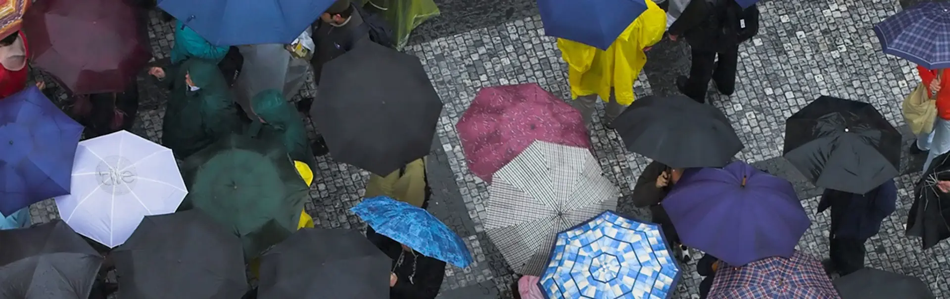 A crowd with Umbrellas