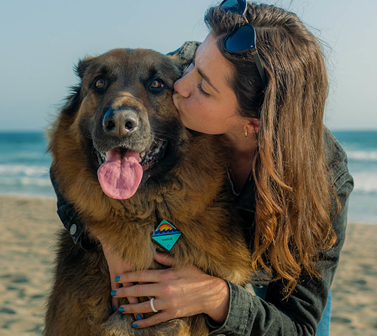 QALO Dog ID Tags now have Tile’s Bluetooth finding technology