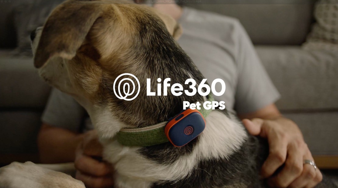 PetGPS Thumb (1)