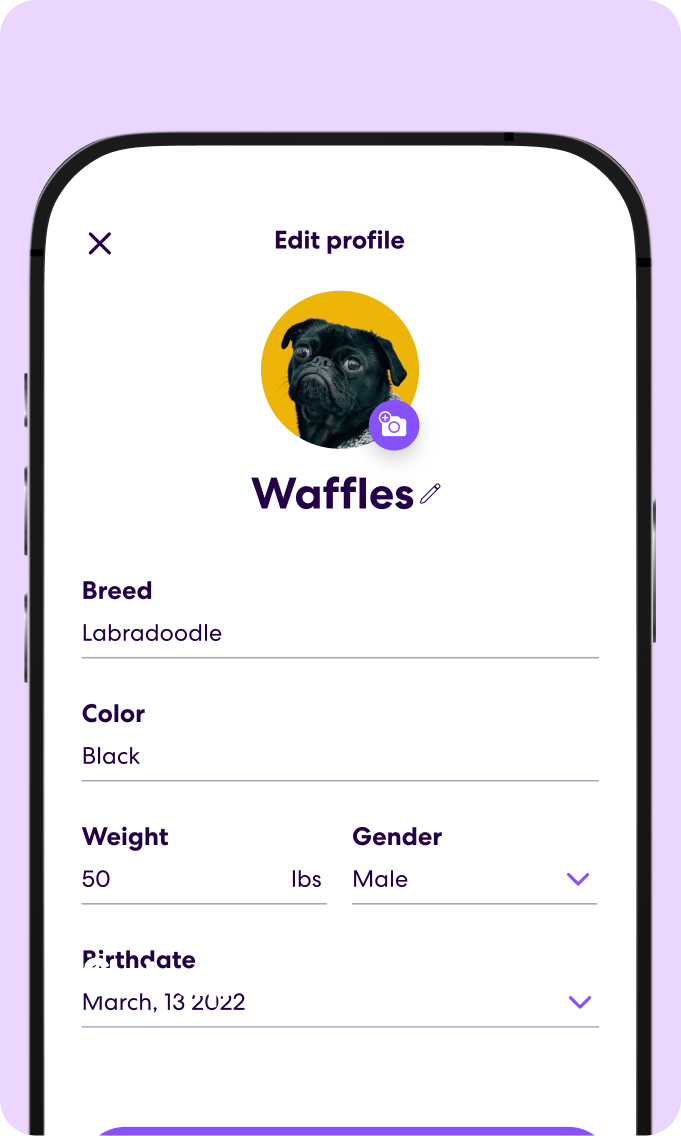 Waffles' Pet Profile