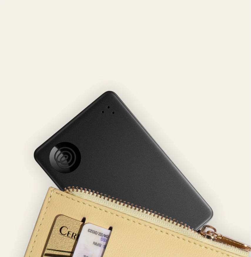 lost wallet 1 5x