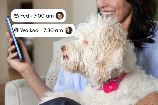 Pet Care