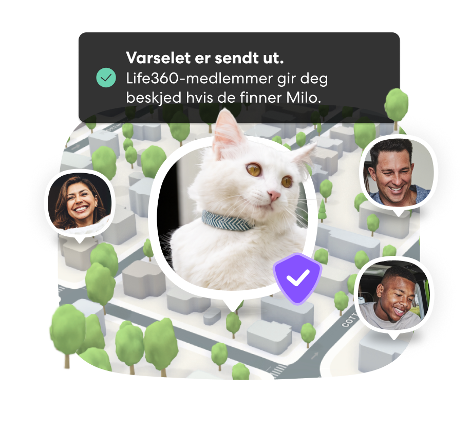 PFN Lost Pet Alert 1