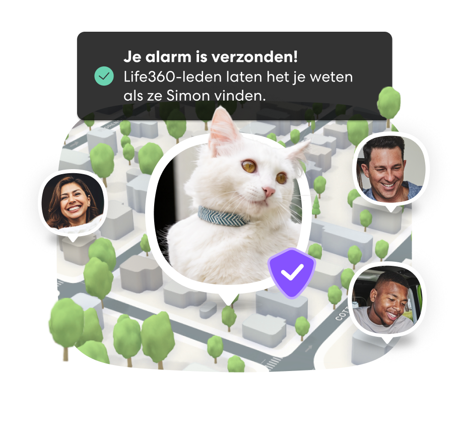 Dutch PFN Lost Pet Alert 1