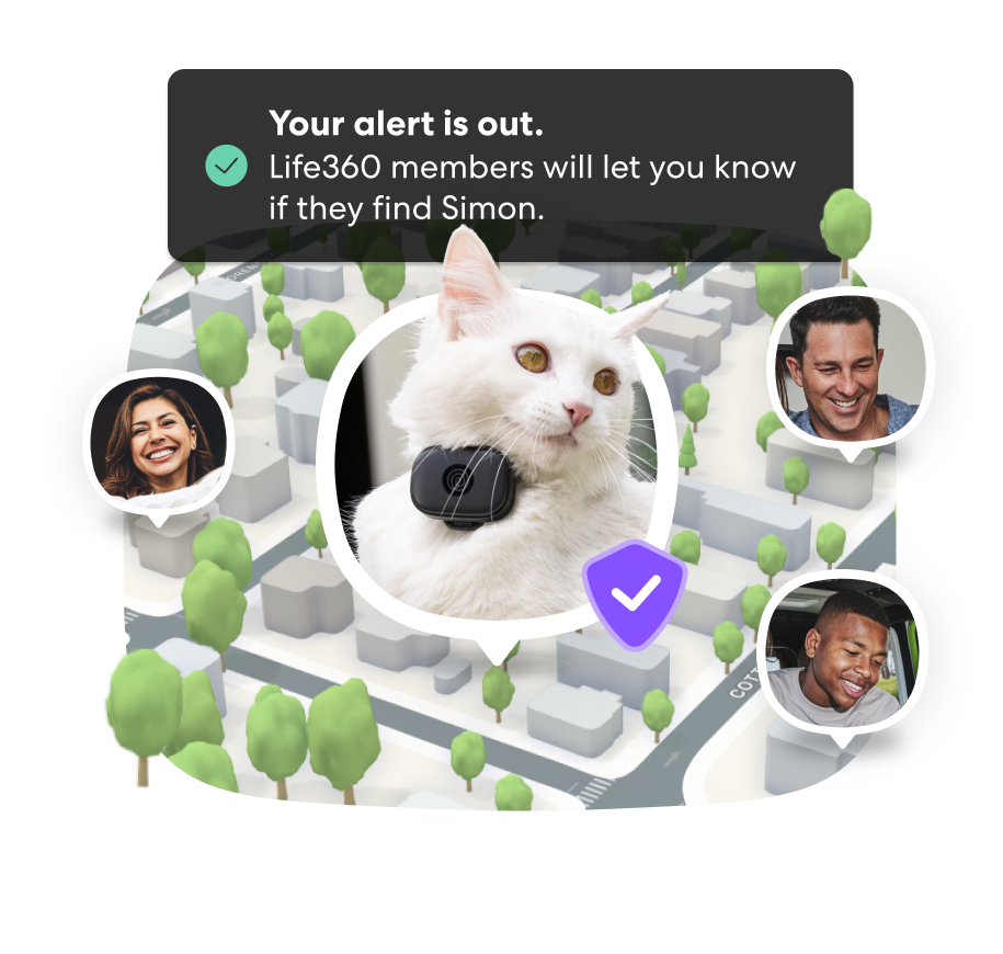 PFN Lost Pet Alert 1