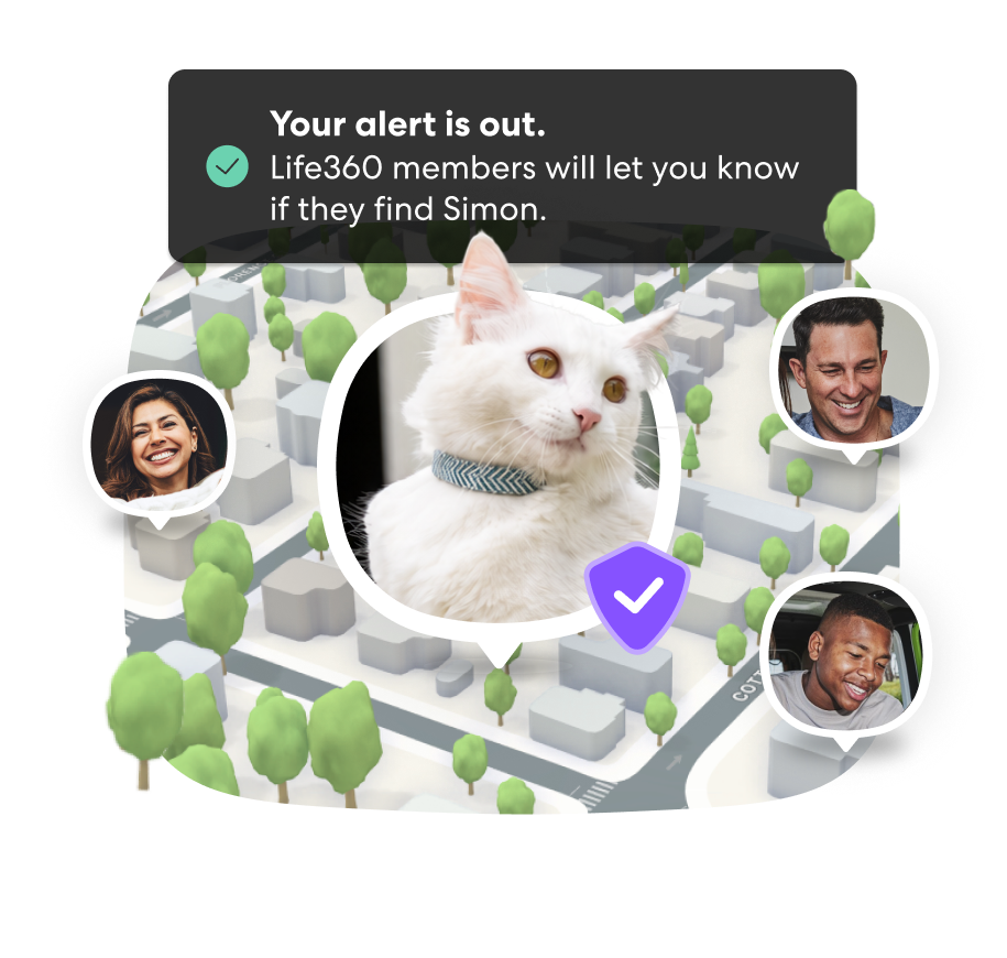 PFN Lost Pet Alert 1