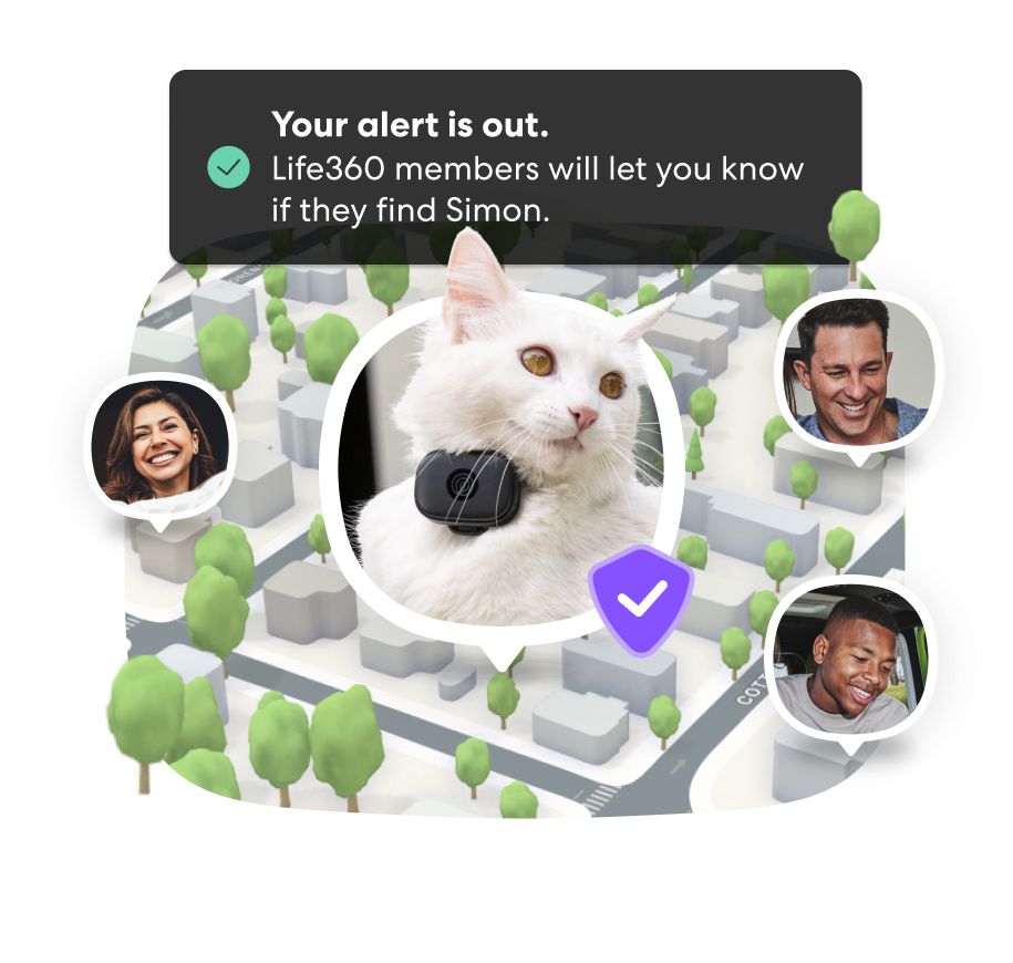 PFN Lost Pet Alert 1