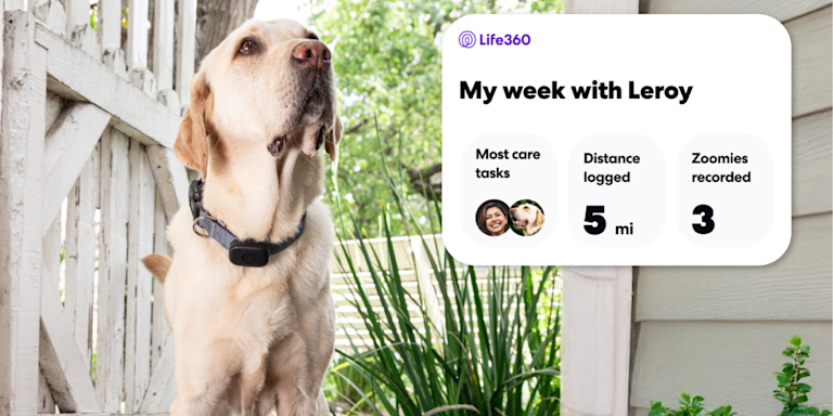 LIFE360 ANNOUNCES NEW PET CARE PRODUCTS SO NO ONE FORGETS FIDO THIS BACK-TO-SCHOOL SEASON