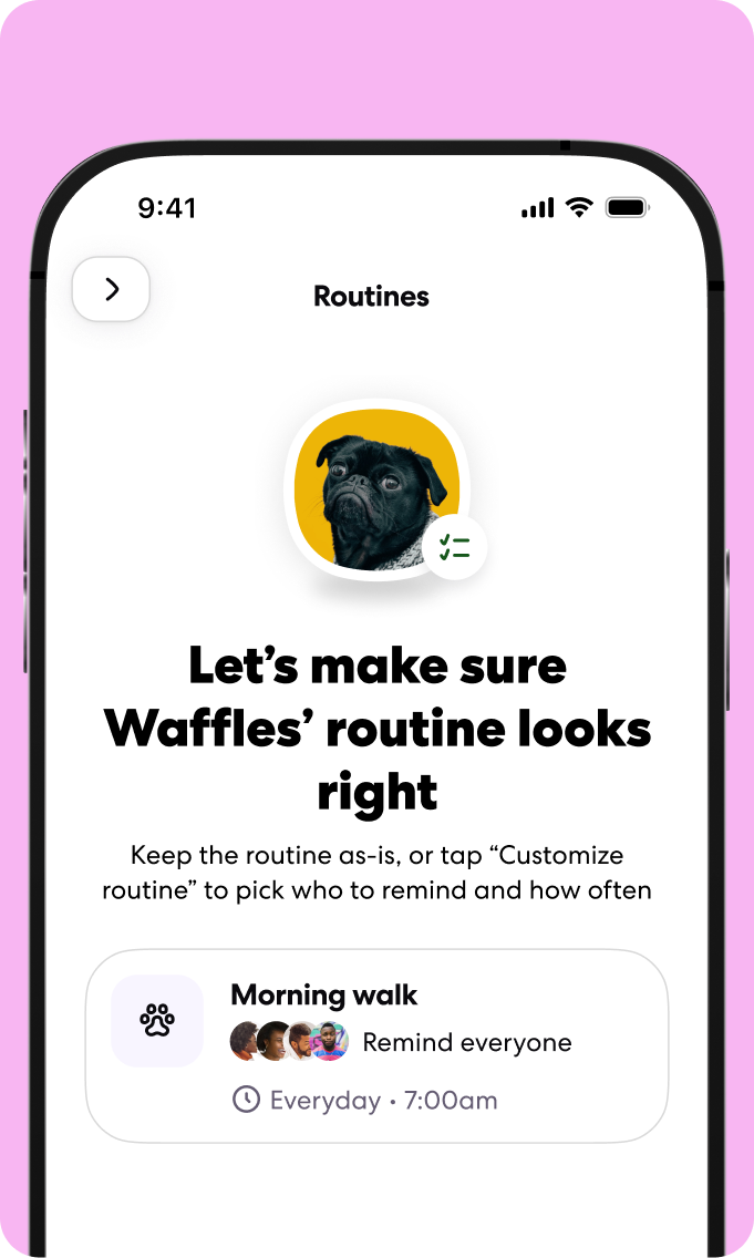 Waffles' Routine