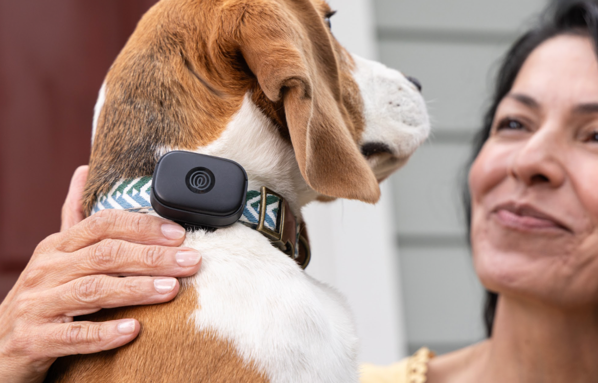 Attach the Life360 PetGPS on your pet
