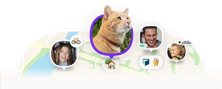 Cat on the family map