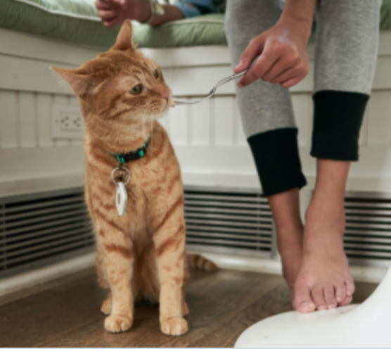 Bluetooth Cat Trackers for Cat Collars from Tile