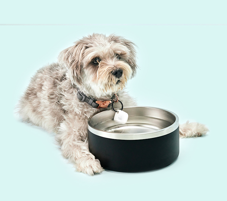 The Purrfect Gifts for All the Pets and Animal Lovers