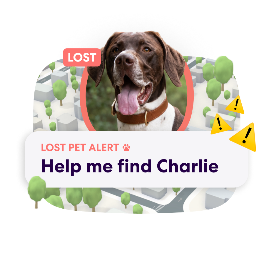 PFN Lost Pet Alert 2