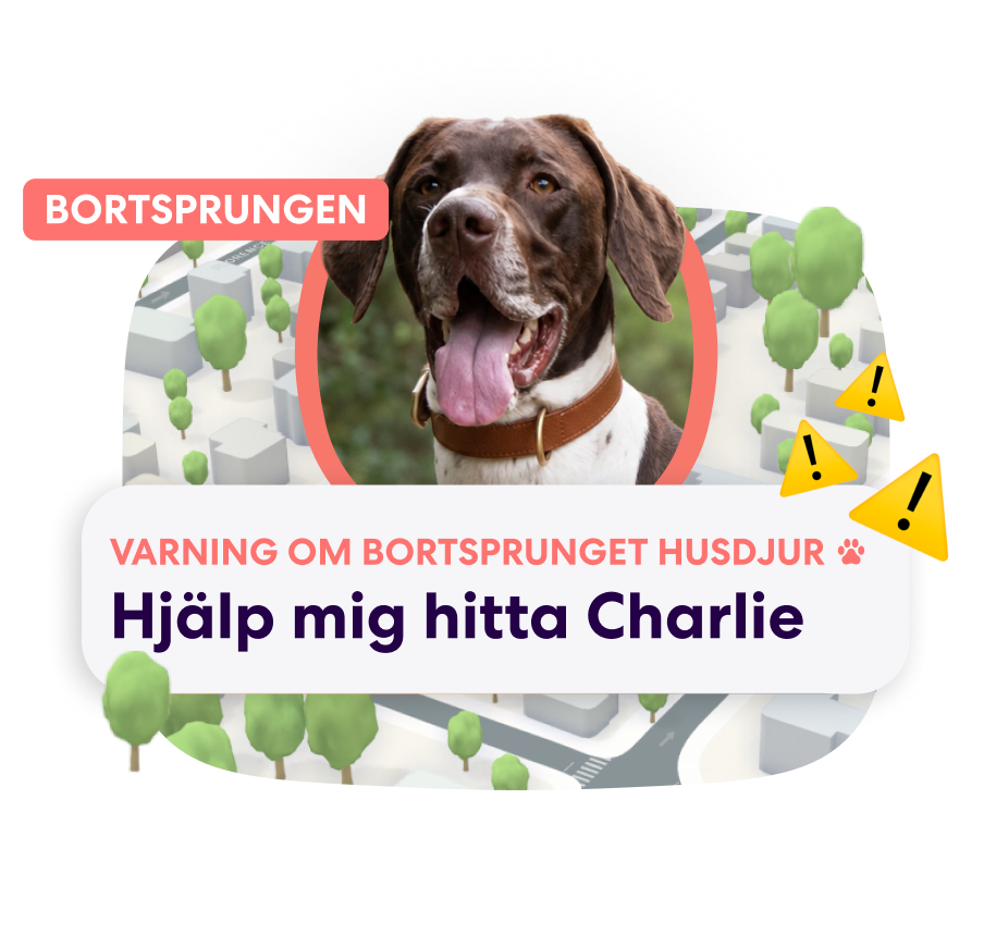 SE PFN Lost Pet Alert 2