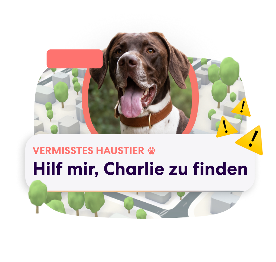 DE PFN Lost Pet Alert 2-1