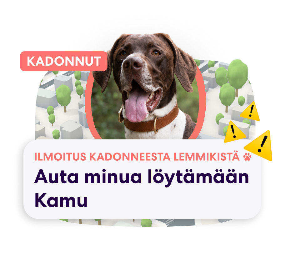 Finnish PFN Lost Pet Alert 2
