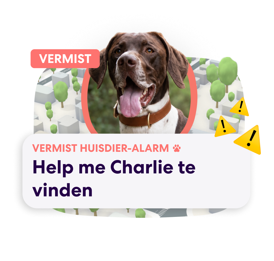 Dutch PFN Lost Pet Alert 2