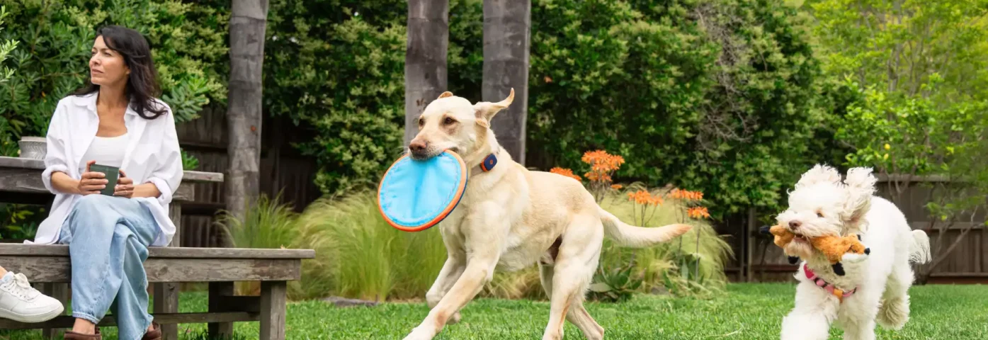 Tractive vs Life360 Pet GPS M