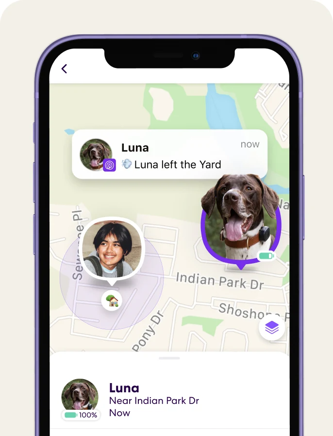 Escape Alerts