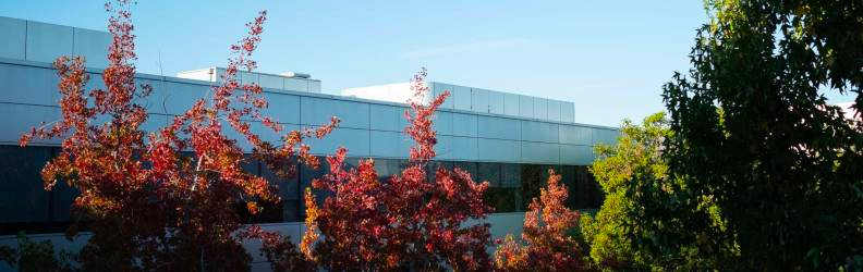 A building and trees