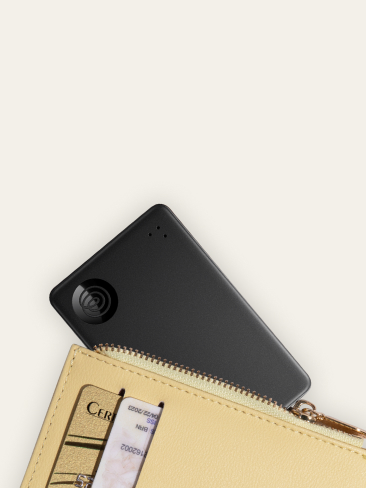 Lost Wallet Mobile-1