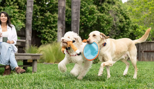 Dog Park GPS Etiquette: Tracking Without Hovering