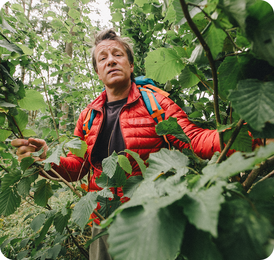 media column Desktop