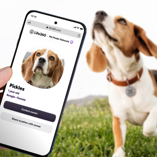 Pet Tag PDP Highlights 340x340 - Recovery