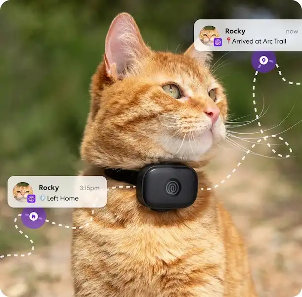Track in Realtime Double