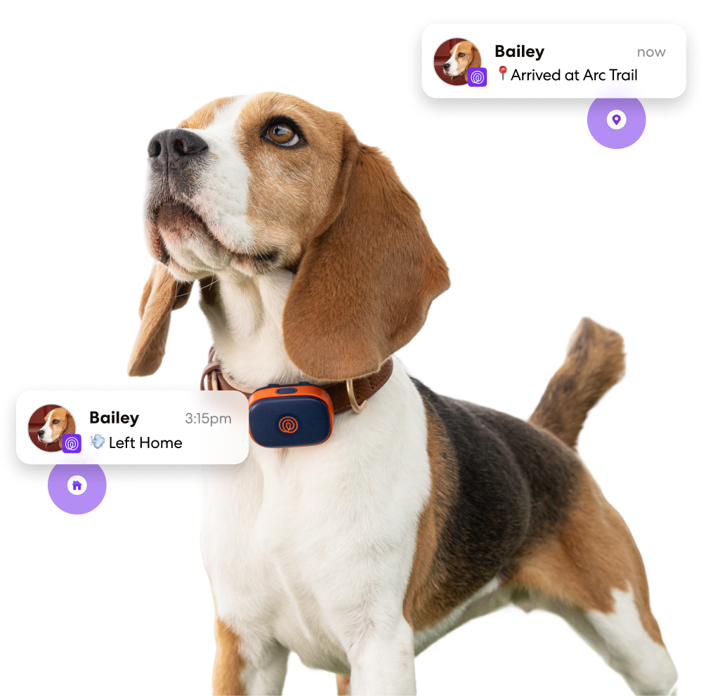 realtime tracking