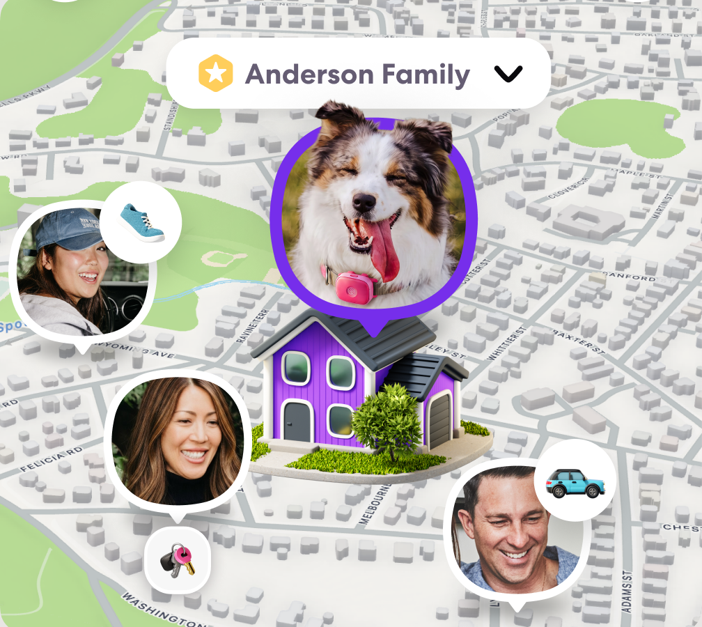 Anderson Family