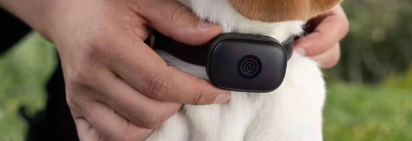Best GPS Dog Collar 2026 Top Pet Trackers Ranked M