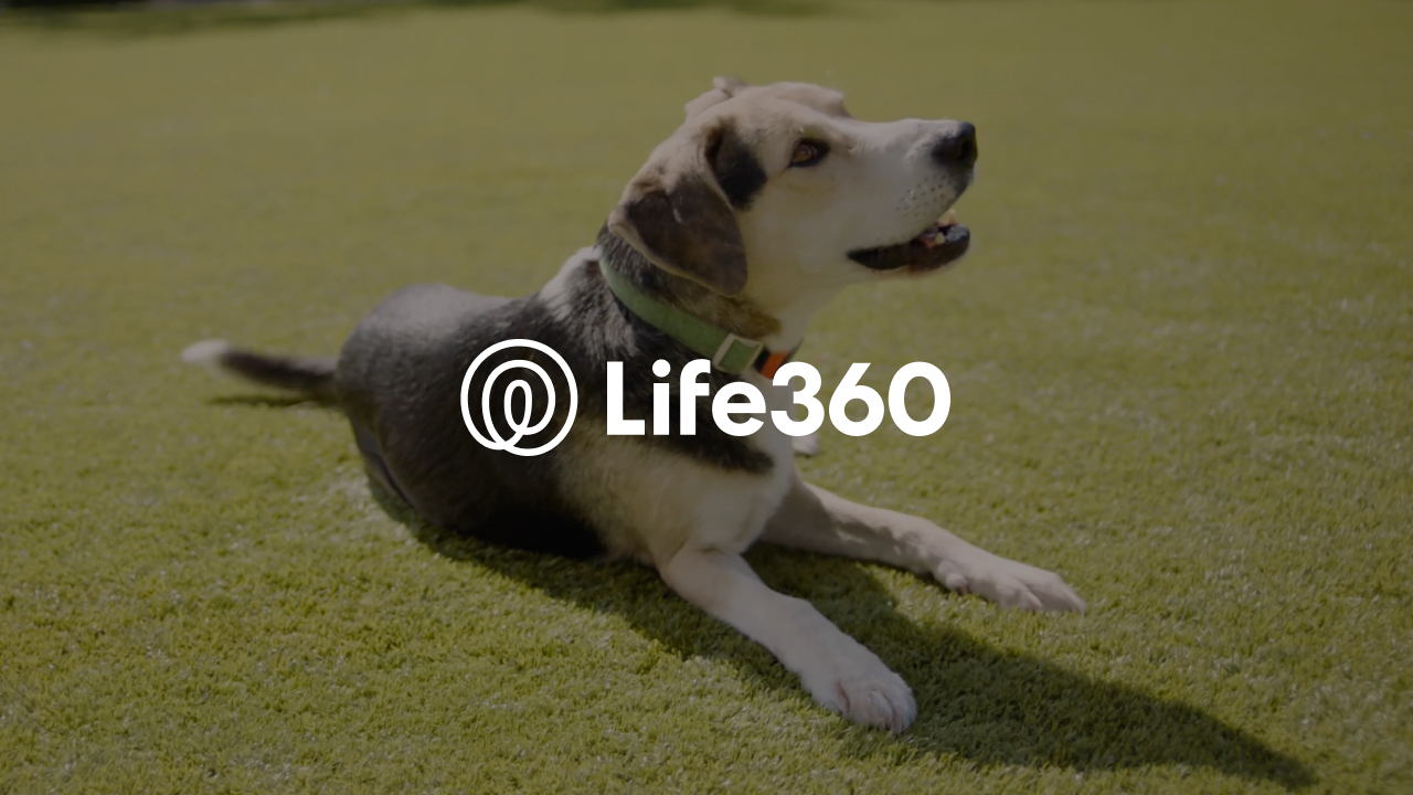 LIFE-PET2 NS v09 1
