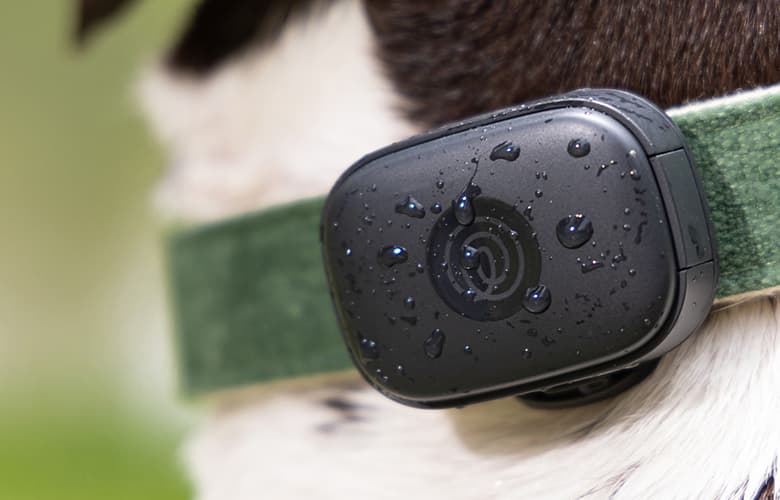 pet-gps-feature-image-2