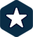L360 Platinum Icon