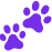 lucide paw