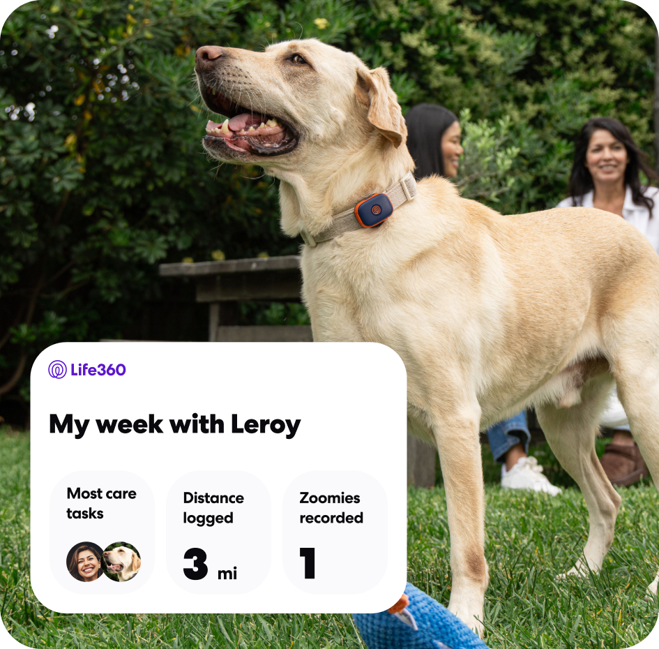 Pet GPS PDP Highlights 630x620 - Weekly roundup (1)