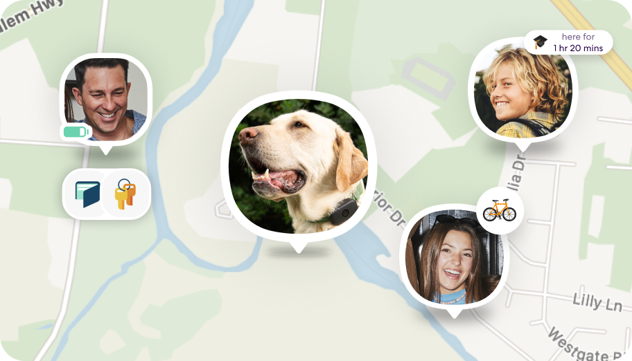 Plans & Pricing Pet Safety 608x348