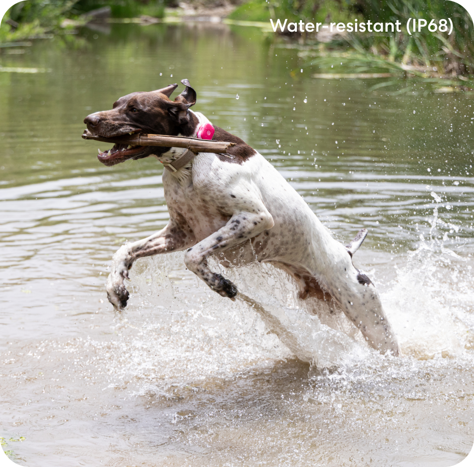 Pet GPS PDP Highlights 630x620 - Adventure-proof