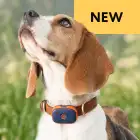 pet gps feature