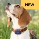 pet gps feature