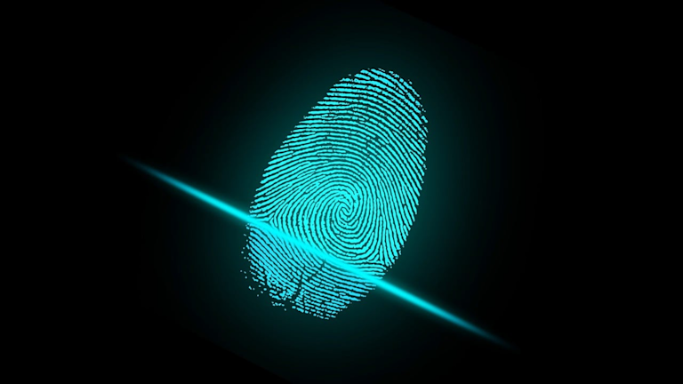 What Is Child Identity Theft?