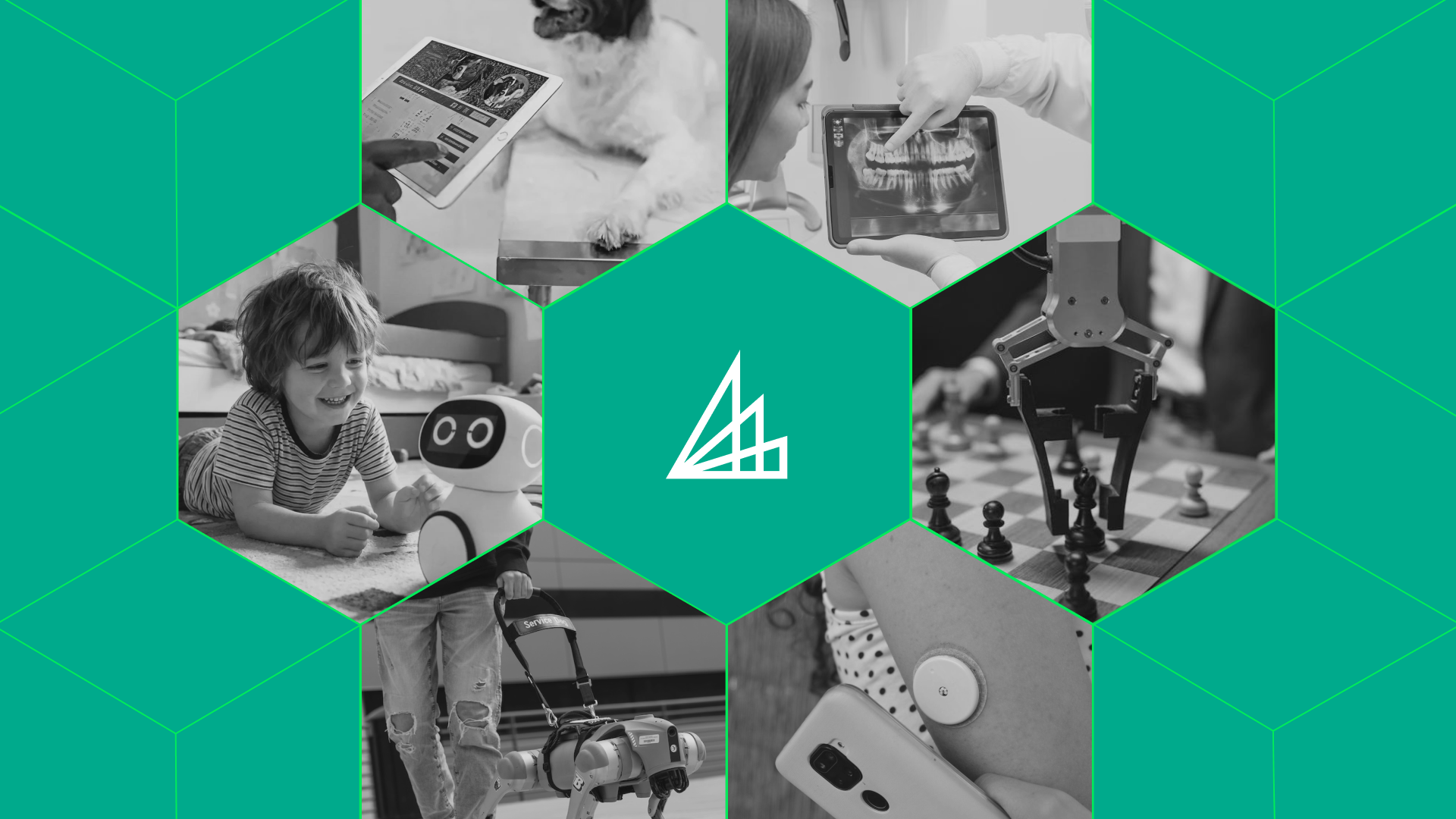 Collective Intelligence 4