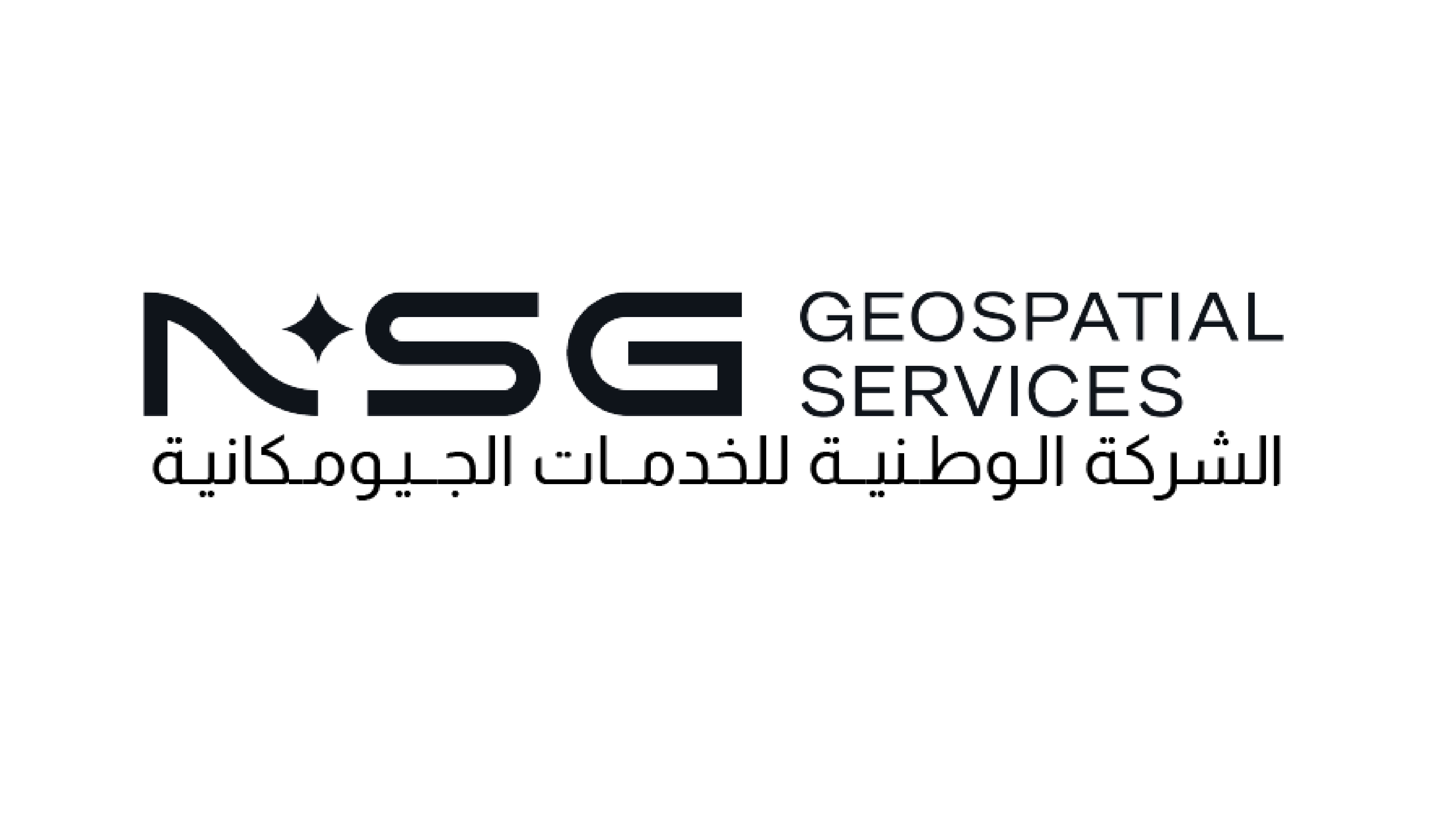 NSG Geospatial Services
