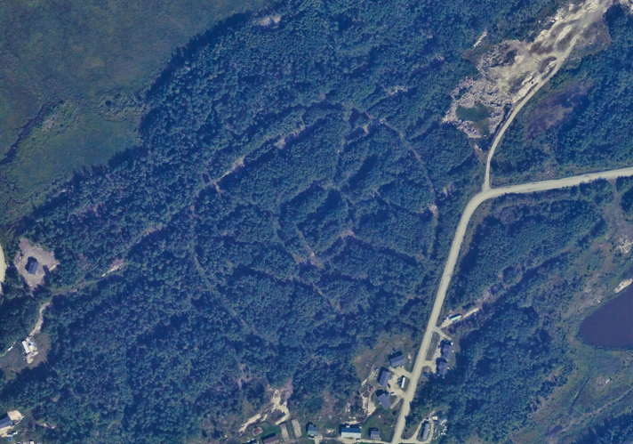 IO Aerospace NEW images Circle in Forest