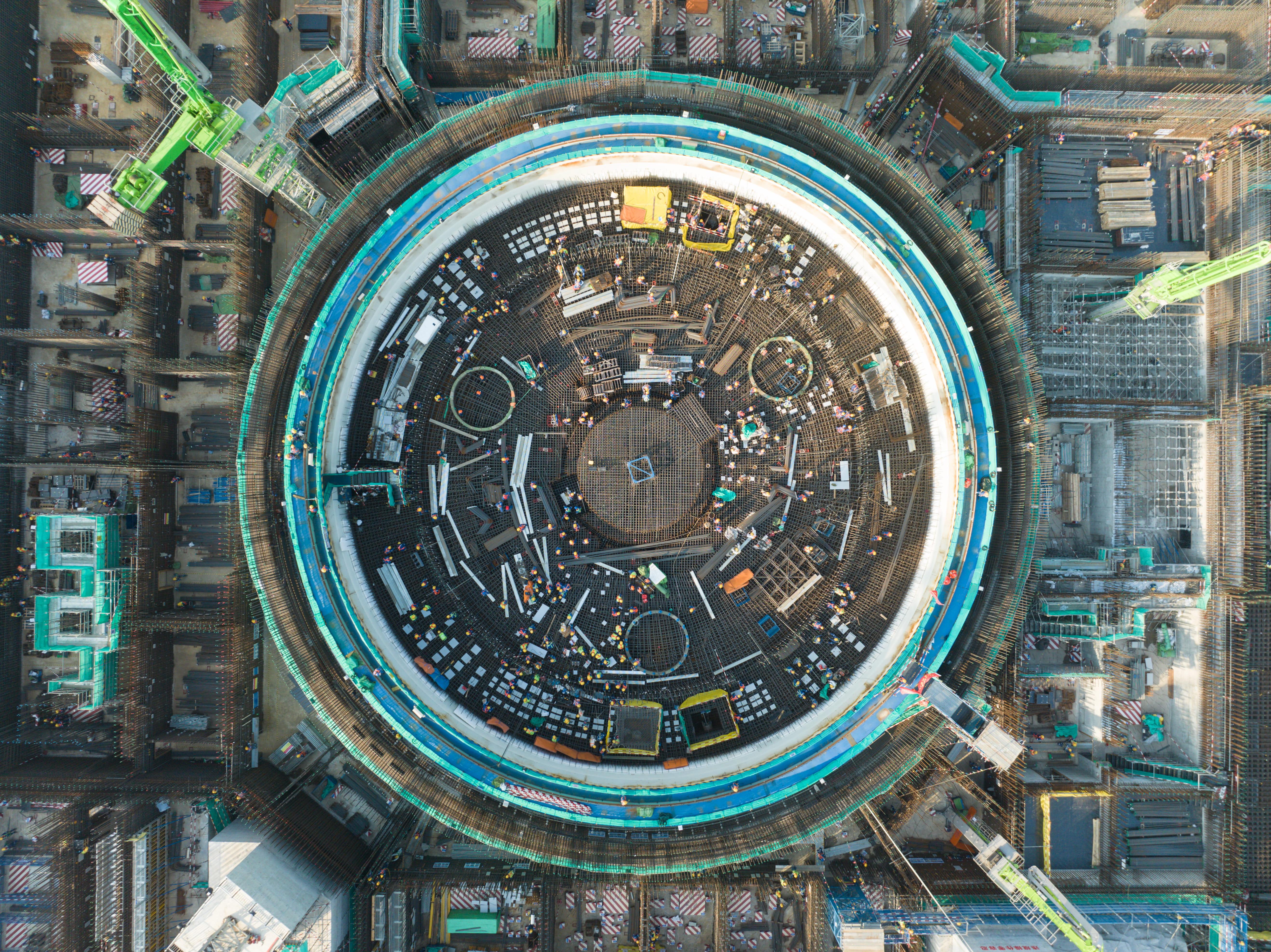 Whiteshield case study image