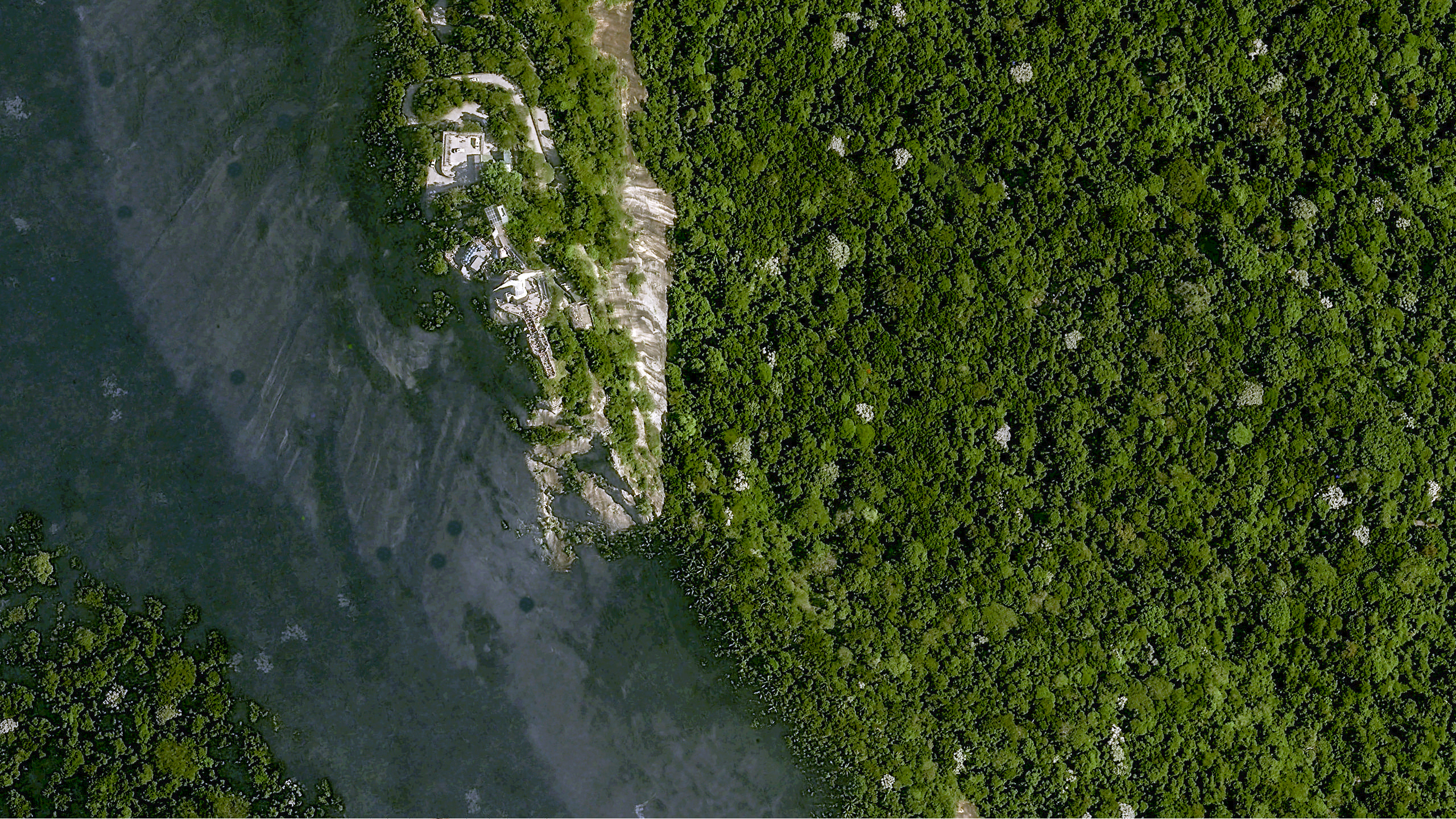 zoom6 Rio 20210708 ClubHippic