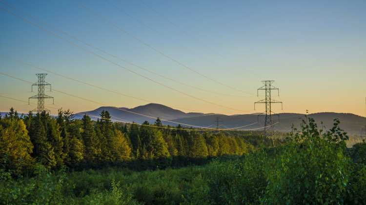 Vegetation Utility Lines