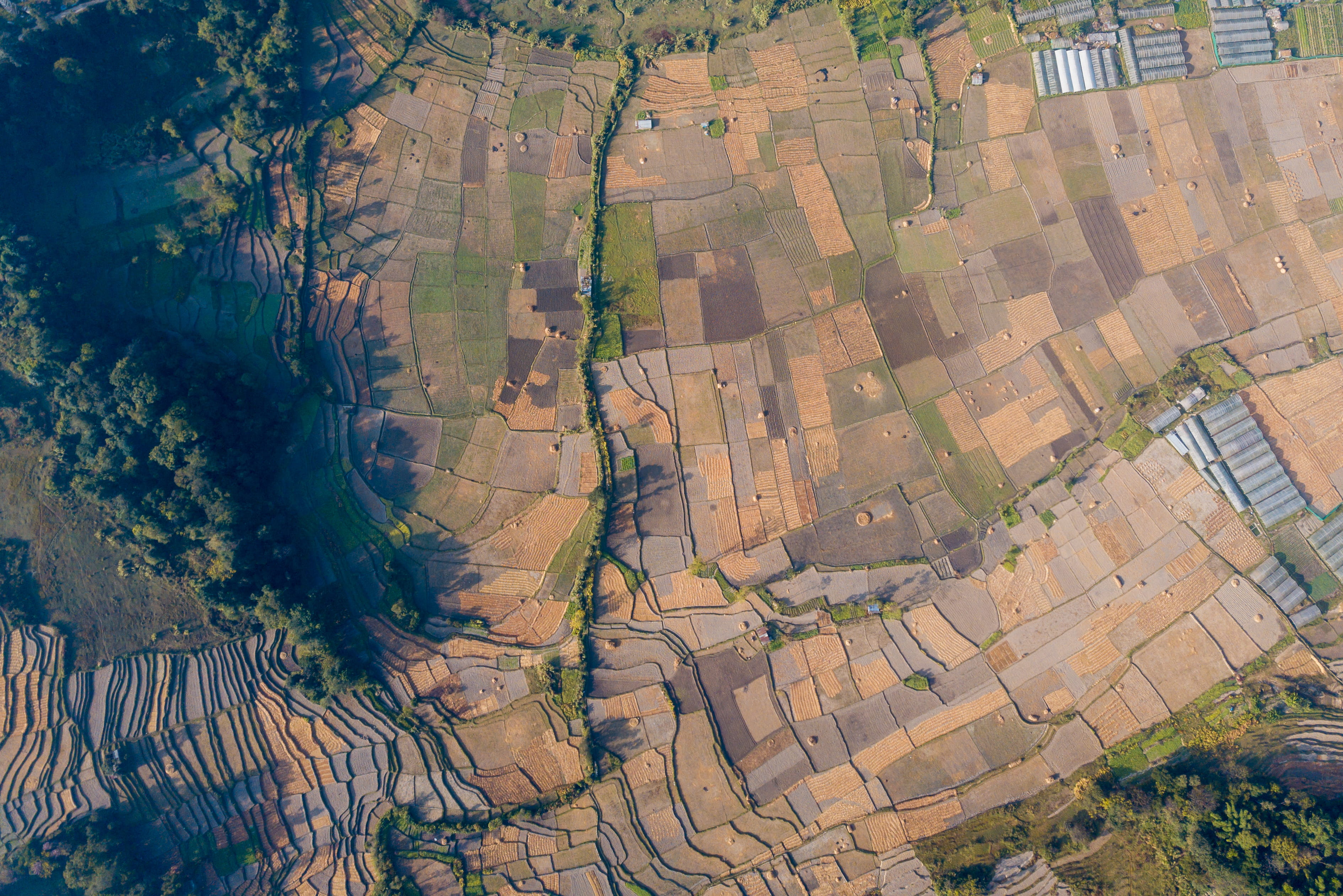 Why many EO-powered initiatives don’t scale